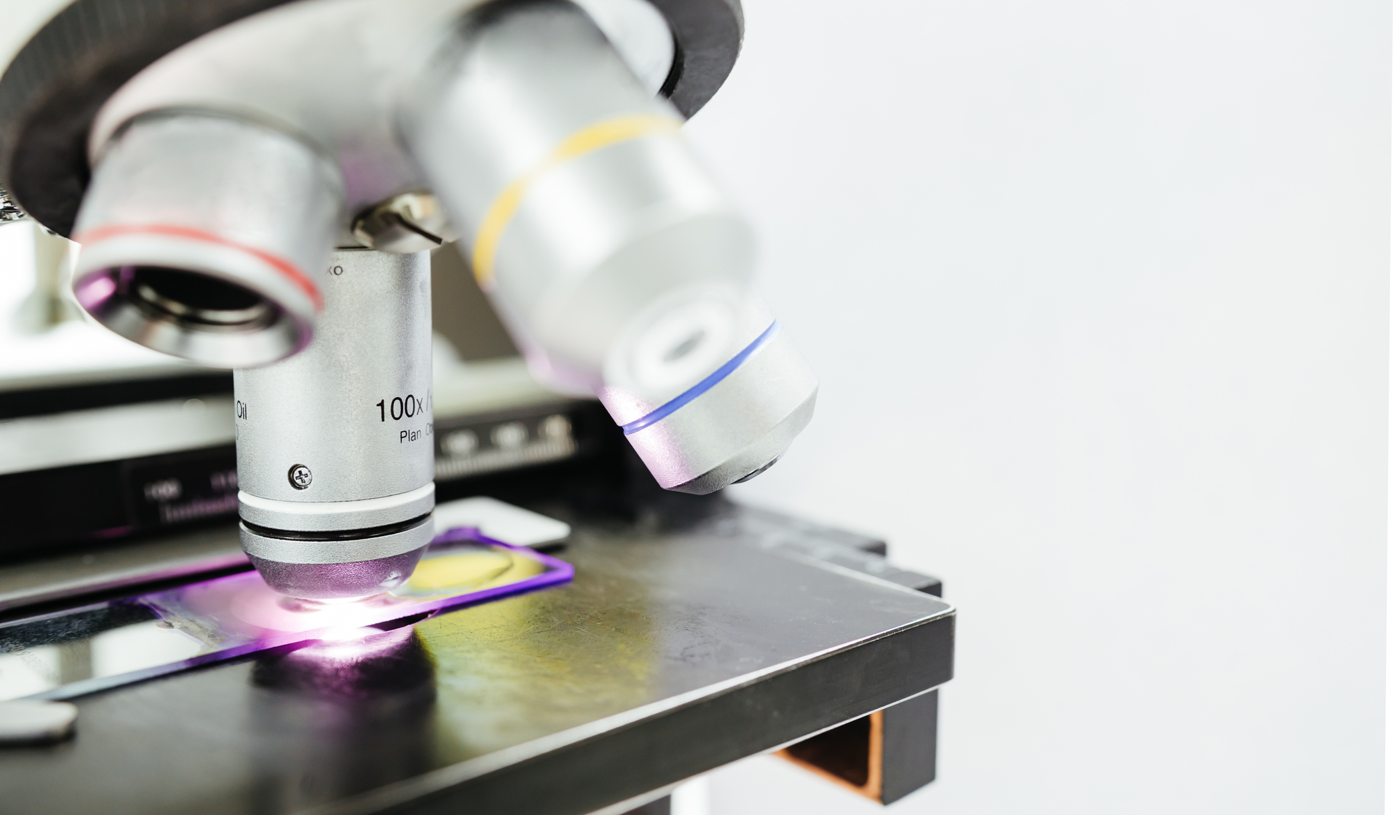 病理組織標本作製の診療報酬点数について解説